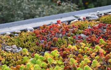 the cost of Easton green roof installation