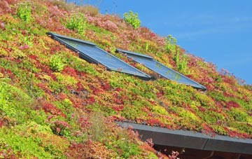 Easton living roof systems